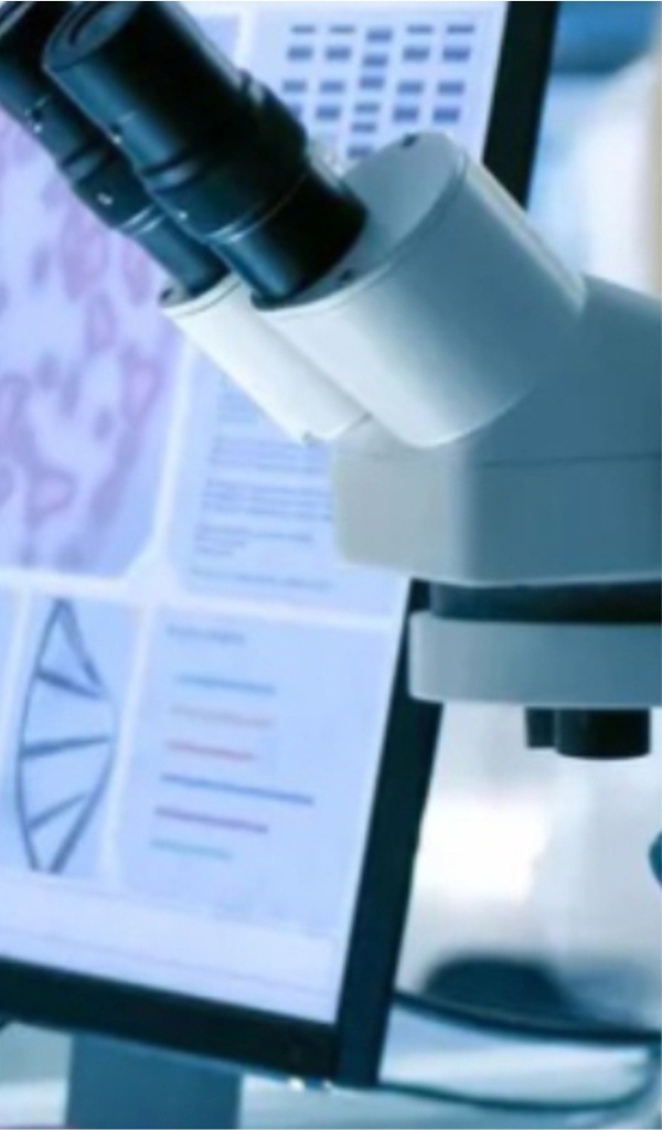 Scientific research activities